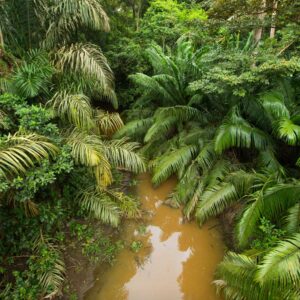 Río Papaturro, Refugio de Vida Silvestre Los Guatuzos