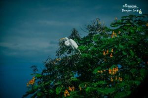 Río-San-Juan-una-visit-obligada-en-Nicaragua