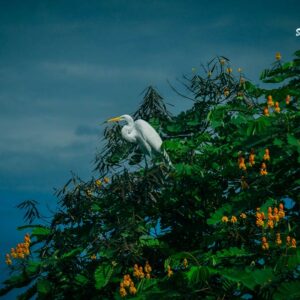 Río-San-Juan-una-visit-obligada-en-Nicaragua