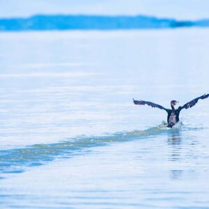 rio-san-juan-patos-3