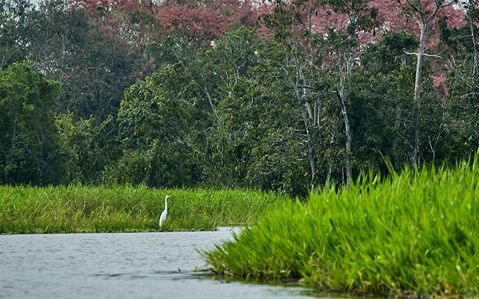 Río-San-Juan-Nicaragua