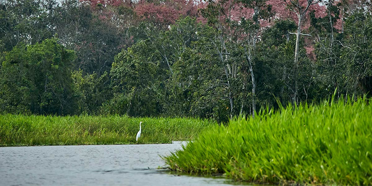 Río-San-Juan-Nicaragua