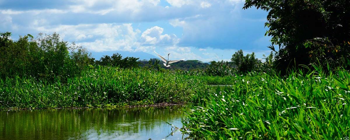 humedales-ramsar-de-Rio-San-Juan