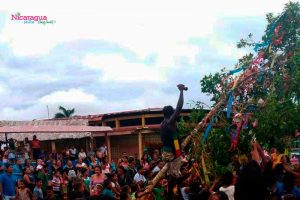 Palo-de-Mayo-en-San-Juan-de-Nicaragua-2